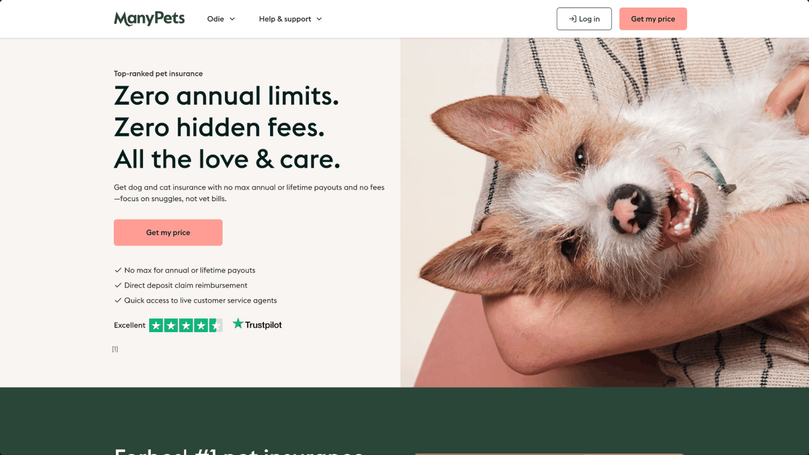 ManyPets — pet insurance platform design